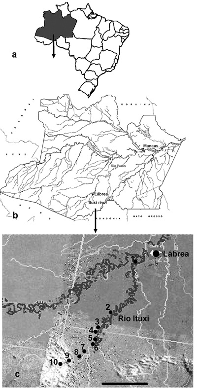 map of guyana showing rivers