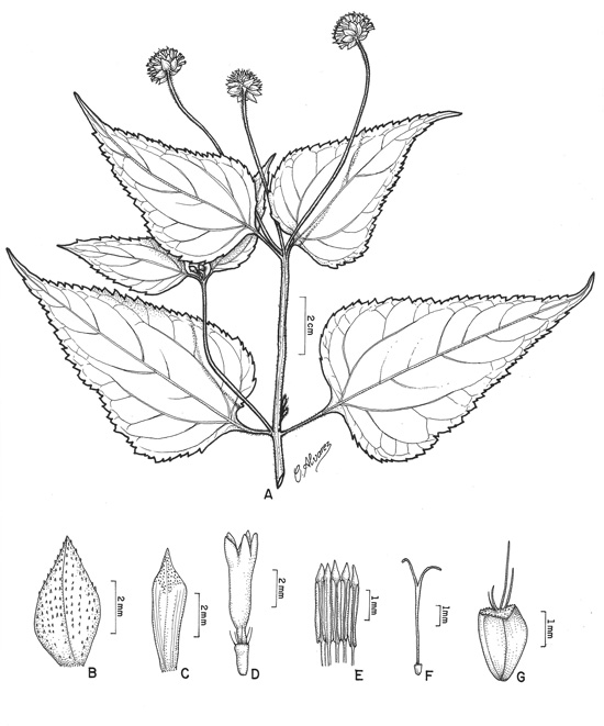 f5
