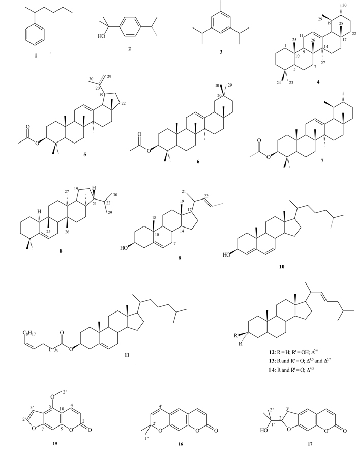 f01