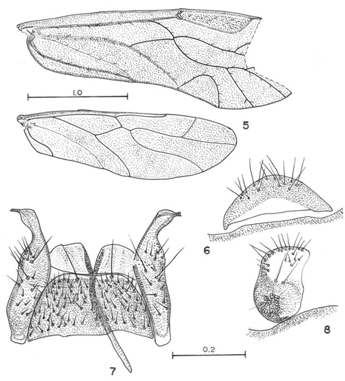 f5-8